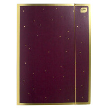 Teczka z gumką A4 Satin Gold 3 Interdruk