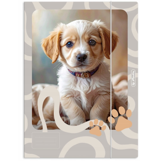 Teczka z gumką A4 Herlitz Animals mix