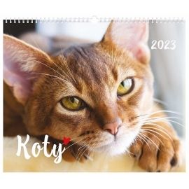 Kalendarz 2023 ścienny planszowy Koty Interdruk