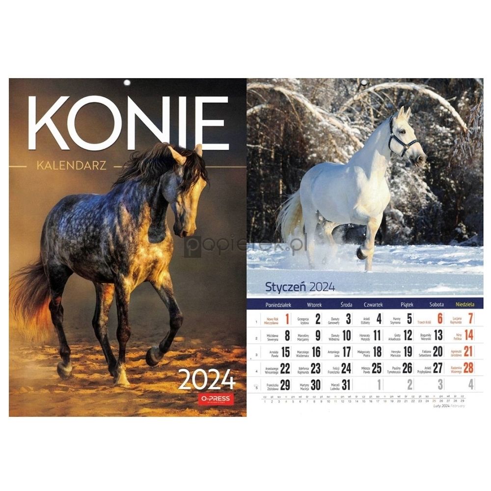 Kalendarz ścienny A4 2024 Konie
