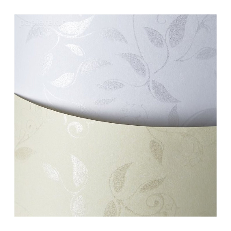 Papier ozdobny A4 100g
