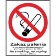 ZAKAZ PALENIA, NO SMOKING LD-90 20x25CM