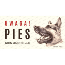 UWAGA!ZŁY PIES PM01 10x20CM