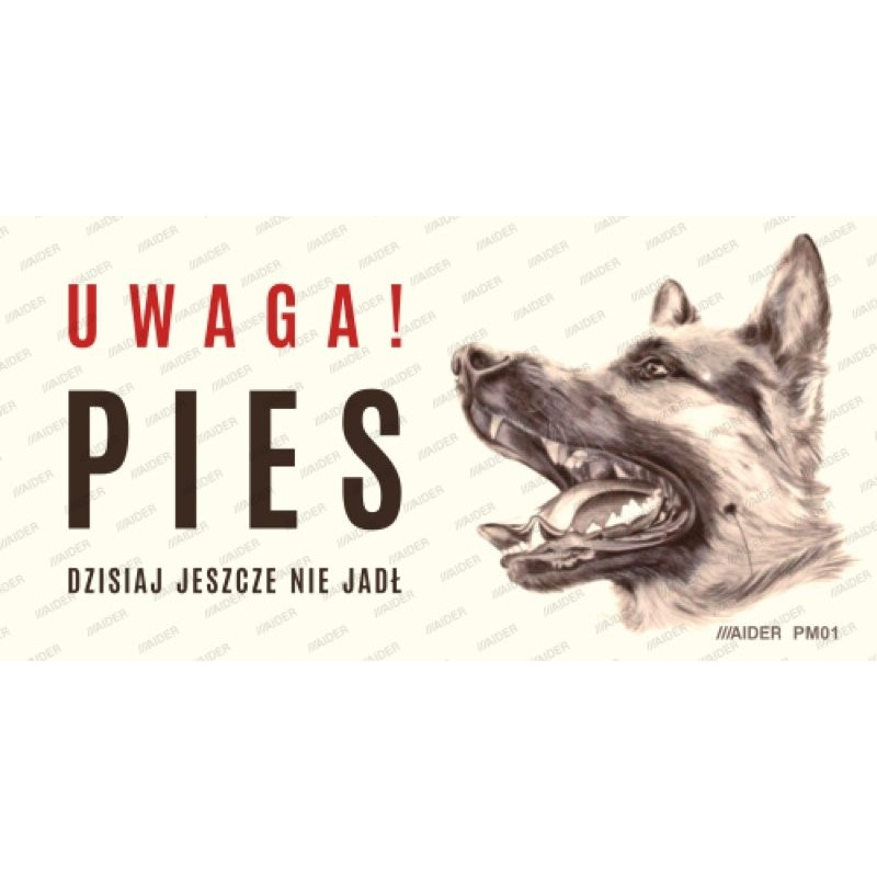 UWAGA!ZŁY PIES PM01 10x20CM