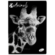 Elisa Zeszyt A5 60k kratka 80g Animals