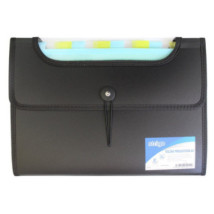 Teczka organizer A4 12 przegródek Strigo