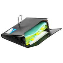 Teczka organizer A4 12 przegródek Strigo
