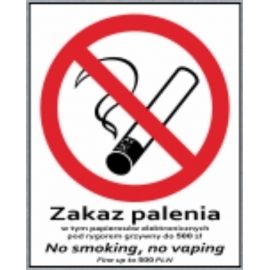 ZAKAZ PALENIA, NO SMOKING LD-90 20*25CM