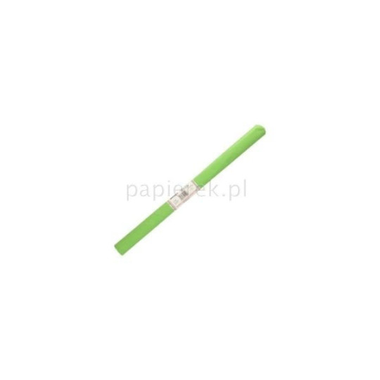 BIBUŁA REF 23 pistacjowy BESTTotal