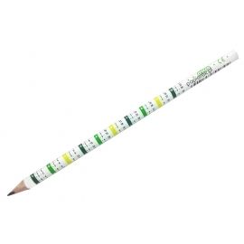 Ołówek z tabliczką mnożenia trókątny Cricco HB