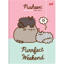 Teczka z gumką A4 Pusheen Bambino